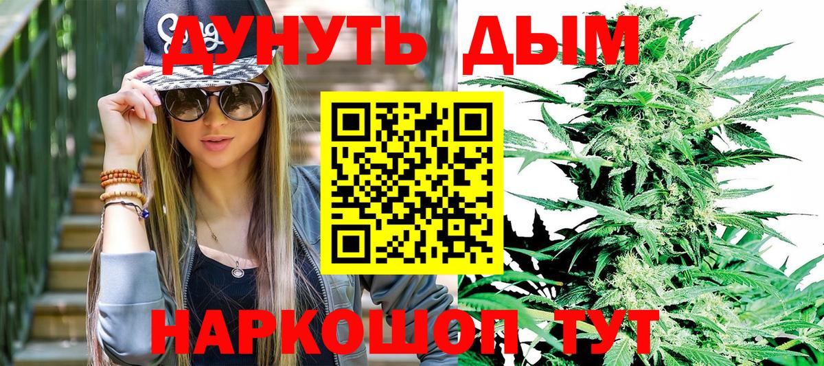 Марихуана сатива Кудрово